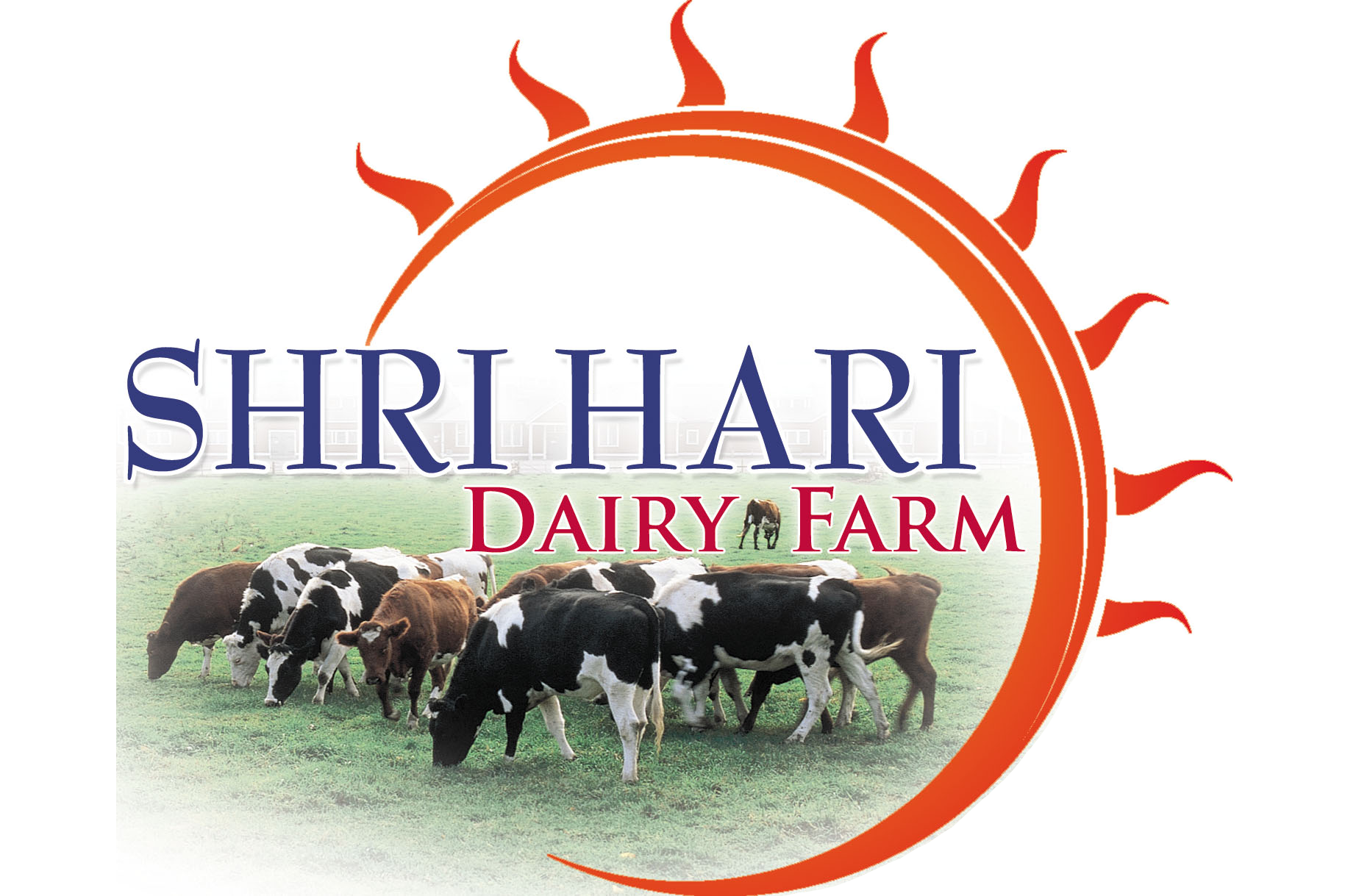 shriharidairylogo